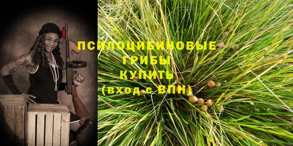 mdma Бородино